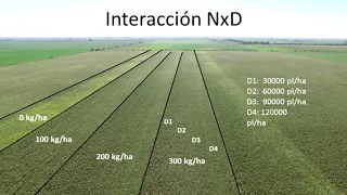 Gabriel Espósito - 17° Curso Internacional de Agricultura y Ganadería de Precisión