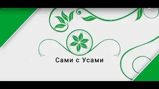 Выращиваем пеларгонию | Сами с усами