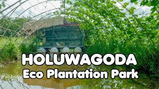 Vegetable farming | Eco Plantation Park Holuwagoda
