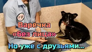 Варечка «без лица», но с друзьями. От полного ужаса, к постепенному восстановлению