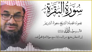 سورة البقرة كاملة بدون اعلانات فضيلة الشيخ سعود الشريم surah baqarah saud shuraim