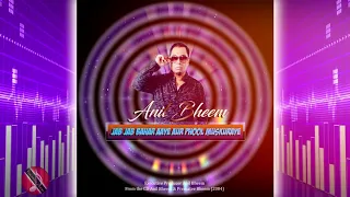Anil Bheem - Jab Jab Bahar Aaye Aur Phool Muskuraye [Bollywood Cover]