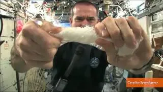 Astronaut Demonstrates How to Wring Out a Washcloth in Space