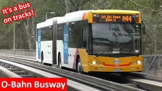 Buses on Adelaide's O-Bahn Busway