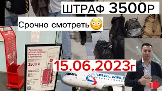 Срочно смотреть✈️😳 Уральский компанию 3500₽ ШТРАФ😳 АЭРОПОРТ ДОМОДЕДОВО✈️15.06.2023г