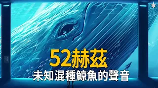 「52赫茲」- 1989年美國海軍發現前所未有的鯨魚聲音，一種全新未知混種鯨魚的可能性存在，至今仍在尋找牠，被稱為世界上最孤獨的鯨魚。