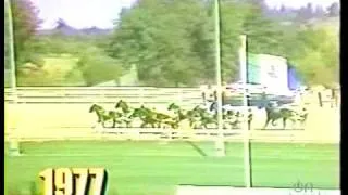 1977 Confederation Cup - Flamboro Downs