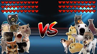 10 Cats vs 10 Dogs! Meme battle