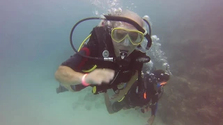 Diving 29-11-2014