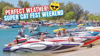 Perfect Weather On This Super Cat Fest West Weekend in Lake Havasu