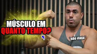 Quanto tempo um iniciante demora para ver definição muscular?