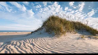 1-min Conservation: Coastal Dunes (English)