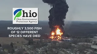 Ohio train derailment: Top questions answered about East Palestine incident