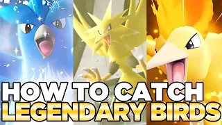 How to Catch Articuno, Zapdos, & Moltres in Pokemon Let's Go Pikachu & Eevee