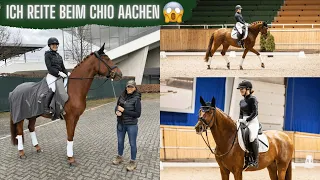 Aufgabenreiten mit meinem Jungpferd 😱​🐴​| Marina Schuster