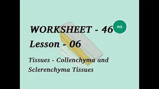 9(NCERT) Worksheet 46 in English, Lesson 6 Tissues, Collenchyma and Sclerenchyma Tissues.