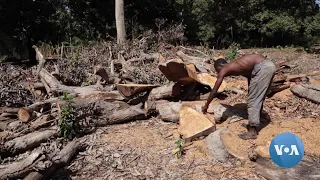 Kenyan Activists Seek Climate Change Protections Amid Record Drought, Flooding | VOANews