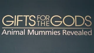 Secrets of the Animal Mummies