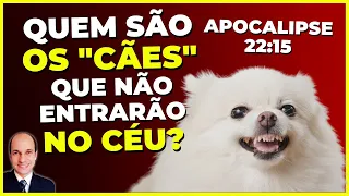 Quem são os CÃES de Apocalipse 22:15? Por que eles não entrarão no céu?