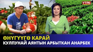 Кулпунай аянтын арбыткан Анарбек | ӨНҮГҮҮГӨ КАРАЙ