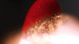 Match chain reaction burning in AMAZING MACRO SLOW MOTION