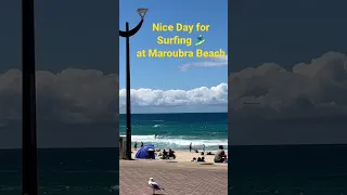 Surfing 🏄‍♂️ at Maroubra Beach. #growonyoutube #youtubeshortstips #surfing #beach