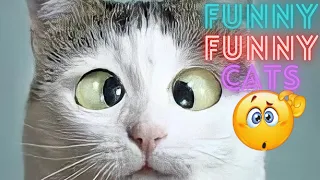 2 HOUR BEST FUNNY CATS COMPILATION 2023 😂| The Best Funny And Cute Cat Videos 8 !😸 😸