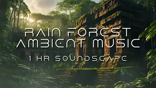 Rain Forest Ambient Music - 1:00 hr Atmospheric Soundscape