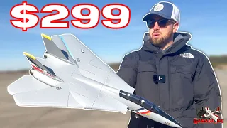 E-Flite F-14 Tomcat TWIN 40mm - Is it worth $300??