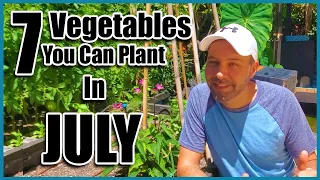 7 Vegetables You Can Plant NOW in JULY!  Planting Vegetables in the Summer