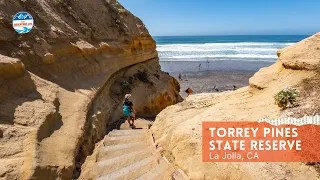 A Complete Guide to Visit Torrey Pines State Reserve | La Jolla, CA