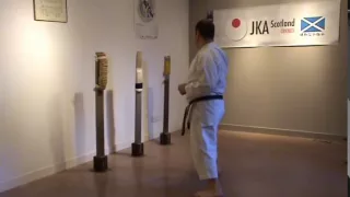 Makiwara Training