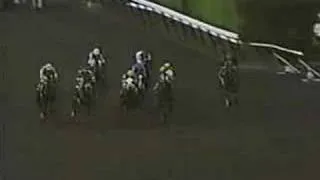 Breeders' Cup Classic 1989