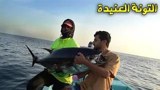 صيد التونة بأعداد لاتتوقع وزن السمكة 70 كيلو