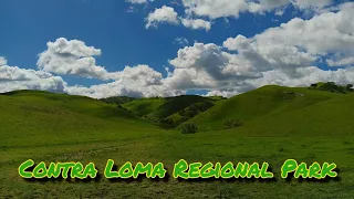 Contra Loma Regional Park