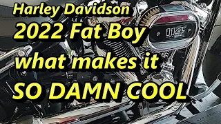 2022 Harley Davidson Fat Boy Owner Interview