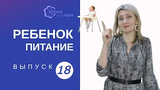 Какой стульчик для кормления купить и когда?