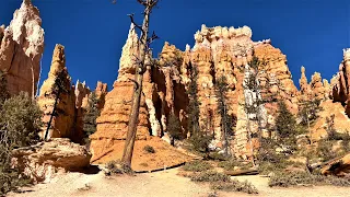 📹 4K HDR 60FPS | 🚶 Navajo Trail Full Hike | 🌋 Bryce Canyon National Park | 🇺🇸 United States