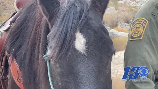 Special Report: Riding with the Border Patrol's horseback unit