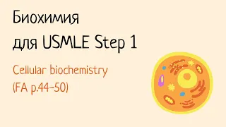 Биохимия для USMLE Step 1 - Клеточная биология