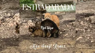 ESTRADARADA Ради тебя Max Iany Remix