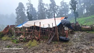 Nepali Mountain Village Life, During the Rainy Season | himalayan shepherd Life Nepal |