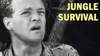 How to Survive in the Jungle | US Army Air Forces Training Film | 1944