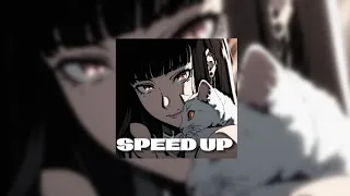 Тёплые коты — (SPEED UP)ฅ⁠^⁠•⁠ﻌ⁠•⁠^⁠ฅ