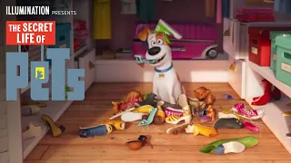 The Secret Life Of Pets | The Big Game Spot (HD) | Illumination