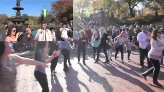 Greg and Gary's Surprise Flash Mob Proposal in Central Park