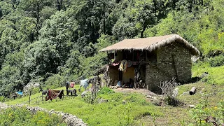 Most Peaceful And Relaxing Natural Mountain Village Life || Living With Beautiful Nature || IamSuman