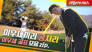 제가 바닥 상태 한 번 봐드릴게요⛳ [미우새 골프.zip]