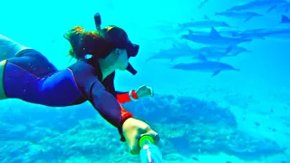 underwater beauty Indonesia ft. Borneo 8k 60fps UHD