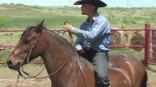 LX Ranch: Selecting Fresh Horses For Spring Roundup 2005